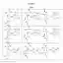 Fig. 07 - N-acetyl L-cysteine chelates and methods for making and using the same