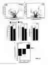 Fig. 05 - PATCH STRUCTURES FOR CONTROLLED WOUND HEALING