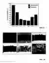 Fig. 09 - PATCH STRUCTURES FOR CONTROLLED WOUND HEALING