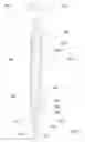 Fig. 07 - Enhanced follicular extraction punch and method