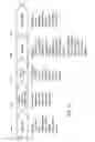 Fig. 12 - ASSESSING PHARMACEUTICALS