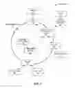 Fig. 02 - Information firewall