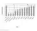Fig. 02 - Tomato plants comprising transgenic event Bs2-X5