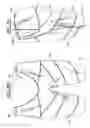 Fig. 22 - Posture control and therapy system