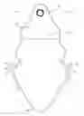 Fig. 04 - Footwear Insert Members