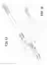 Fig. 02 - Extendable swivel handle for a duster