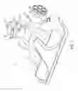 Fig. 09 - Vacuum cleaner including a removable handle assembly