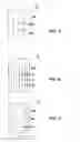 Fig. 05 - Absorbent Article with a Slitted Absorbent Core