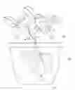 Fig. 01 - PLANT POT WITH ELEVATED VENTILATION HOLE