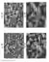 Fig. 09 - ABRASIVE PARTICLES HAVING A UNIQUE MORPHOLOGY