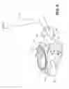 Fig. 07 - BEVERAGE BREWING APPARATUS WITH A FILTER CARRIER RECEIVER