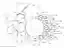 Fig. 01 - Proof printing press