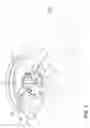 Fig. 04 - Inner swirling flame gas burner