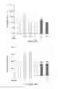 Fig. 03 - Aerosolized Dapsone as a Therapy for Inflammation of the Airway and Abnormal Mucociliary Transport