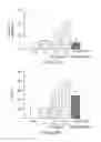 Fig. 07 - Aerosolized Dapsone as a Therapy for Inflammation of the Airway and Abnormal Mucociliary Transport