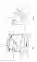 Fig. 02 - Respiratory humidifier