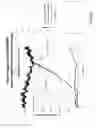 Fig. 22 - Clutch assembly