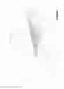 Fig. 02 - Tray for handling syringe barrels
