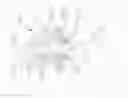 Fig. 40 - Liquid recovery filter