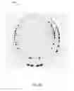 Fig. 08 - Visual feedback for process control in RTP chambers