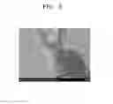 Fig. 06 - NEGATIVE  ACTIVE  MATERIAL  FOR SECONDARY  BATTERY  AND  METHOD  OF MANUFACTURING  THE  SAME