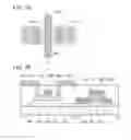 Fig. 08 - Semiconductor device having dual gate insulating layers