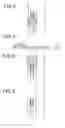 Fig. 04 - Vehicular lighting apparatus