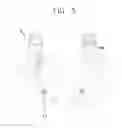 Fig. 07 - Information provision device for glasses-type terminal and information provision method