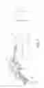 Fig. 02 - Phone adapter for optical devices