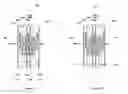Fig. 08 - Transparent FIPEL pixel panels displaying a normal image from the front surface and a reverse image from the back surface