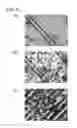 Fig. 06 - Light-modulating panel and light modulator