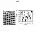 Fig. 08 - Single reflective optical element for interference lithography