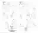 Fig. 01 - METHODS AND APPARATUS FOR BROADCASTING LOADING INFORMATION CORRESPONDING TO NEIGHBORING BASE STATIONS