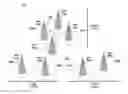 Fig. 01 - Dynamic cell clustering