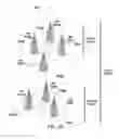 Fig. 09 - Dynamic cell clustering