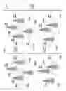 Fig. 12 - Dynamic cell clustering