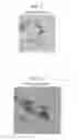 Fig. 06 - Fluorescent phospholipid ether compounds, compositions, and methods of use