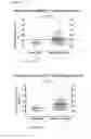 Fig. 28 - Means and Method for Response Prediction of Hepatitis B Treatment