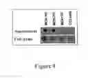 Fig. 09 - EXPRESSION OF VIRUS ENTRY INHIBITORS AND RECOMBINANT AAV THEREFOR