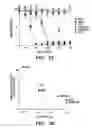 Fig. 08 - MODIFIED MICROBIAL TOXIN RECEPTOR FOR DELIVERING AGENTS INTO CELLS