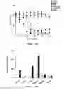 Fig. 09 - MODIFIED MICROBIAL TOXIN RECEPTOR FOR DELIVERING AGENTS INTO CELLS
