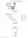 Fig. 09 - Polyvalent chimeric OspC vaccinogen and diagnostic antigen