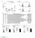 Fig. 02 - Correlation of disease activity with clonal expansions of human papillomavirus 16-specific CD8+ T-cells in patients with severe erosive oral lichen planus