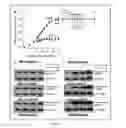 Fig. 06 - Radioprotector compounds