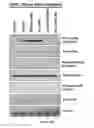 Fig. 10 - Radioprotector compounds