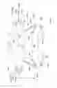 Fig. 07 - Mould equipment for pipeline section coating and methods for coating of pipeline sections with moulds