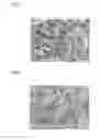 Fig. 03 - Composite precursor, composite prepared therefrom, a method of preparing a composite precursor and a composite, positive electrode for lithium secondary battery including the same, and lithium secondary battery employing the same
