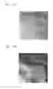 Fig. 08 - Composite precursor, composite prepared therefrom, a method of preparing a composite precursor and a composite, positive electrode for lithium secondary battery including the same, and lithium secondary battery employing the same
