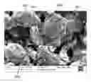 Fig. 01 - Composition of SI/C electro active material
