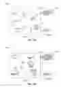 Fig. 35 - SYSTEMS AND METHODS OF TRAINING AND TESTING MEDICAL PROCEDURES ON MOBILE DEVICES